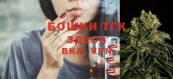 ALPHA PVP Няндома