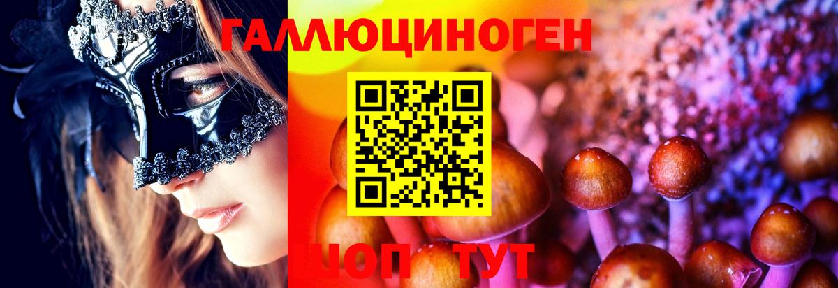 Галлюциногенные грибы MAGIC MUSHROOMS Карталы